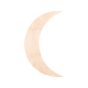 Ξύλινο Φεγγάρι 1